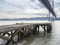 a dock in front of a large bridge over the water with birds sitting on it