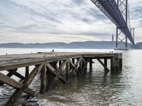 a dock in front of a large bridge over the water with birds sitting on it