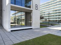 an empty walkway leads to the entrance of a building on which the exterior is glass