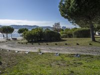 birds that are by the water in a park on the beach in monaco, france