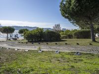 birds that are by the water in a park on the beach in monaco, france