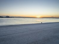 a lone black dog stands by the water at dusk on the beach near a city