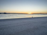 a lone black dog stands by the water at dusk on the beach near a city