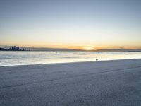 a lone black dog stands by the water at dusk on the beach near a city