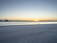 a lone black dog stands by the water at dusk on the beach near a city