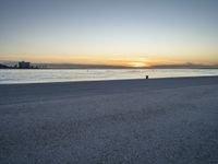 a lone black dog stands by the water at dusk on the beach near a city