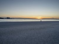 a lone black dog stands by the water at dusk on the beach near a city