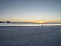 a lone black dog stands by the water at dusk on the beach near a city