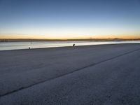 a lone person sitting on top of a bench at the beach by water at dusk