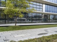 a woman riding a skateboard down a sidewalk near a glass building with trees on it