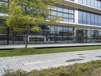 a woman riding a skateboard down a sidewalk near a glass building with trees on it