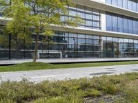 a woman riding a skateboard down a sidewalk near a glass building with trees on it