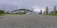 a long bridge is seen through the grass at the park by some trees while a man rides his bike on his skateboard