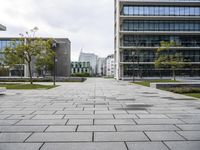 a stone block walkway next to building with trees on each side and sky in the background