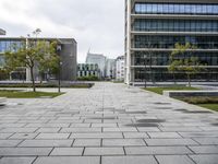 a stone block walkway next to building with trees on each side and sky in the background