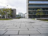 a stone block walkway next to building with trees on each side and sky in the background