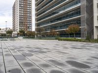 the empty street has grey bricked sidewalks in front of tall buildings and a fenced area