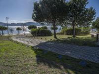 a path leads to a lake next to a few pine trees and a hill with mountains on the far side