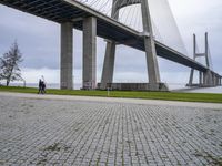 the bridge spanning over the water with people walking by it and some green grass on both side