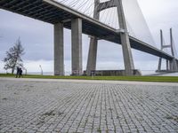 the bridge spanning over the water with people walking by it and some green grass on both side