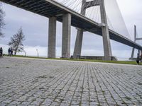 the bridge spanning over the water with people walking by it and some green grass on both side