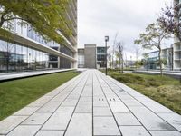 the walkway outside an office building leading to the front door and outdoor green space for business meetings