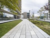 the walkway outside an office building leading to the front door and outdoor green space for business meetings