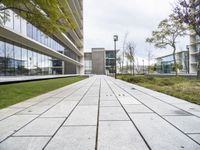 the walkway outside an office building leading to the front door and outdoor green space for business meetings