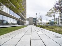 the walkway outside an office building leading to the front door and outdoor green space for business meetings