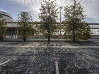 empty parking space, with trees and white building in the back ground and sky behind