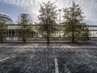 empty parking space, with trees and white building in the back ground and sky behind