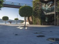 a person sitting on a skateboard next to a tree in the middle of a concrete floor