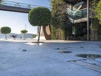 a person sitting on a skateboard next to a tree in the middle of a concrete floor