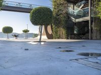 a person sitting on a skateboard next to a tree in the middle of a concrete floor