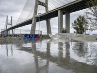 a bridge is shown behind some people on skateboards, while others watch him,