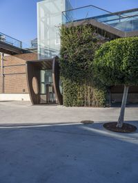 the top half of a building has a glass entrance and a tree inside it in the courtyard