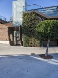 the top half of a building has a glass entrance and a tree inside it in the courtyard