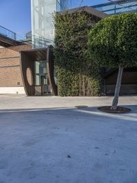 the top half of a building has a glass entrance and a tree inside it in the courtyard