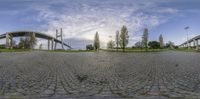 a distorted panorama shows a road with some bridge in the background and trees all around