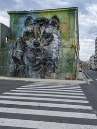 a picture of an interesting cat, in front of a wall and cross walk at the same time