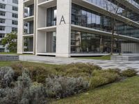 an office building with windows on all sides and green grass around it and some benches