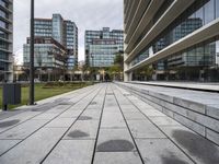 a paved pathway running between tall buildings on the other side of the park area of the city