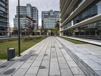 a paved pathway running between tall buildings on the other side of the park area of the city