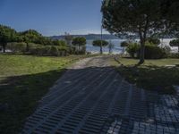 a brick pathway leads to the beach and some trees and bushes in the foreground