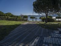 a brick pathway leads to the beach and some trees and bushes in the foreground