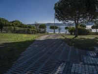 a brick pathway leads to the beach and some trees and bushes in the foreground