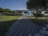 a brick pathway leads to the beach and some trees and bushes in the foreground