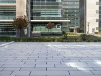 a walkway with tiles and green plants outside of a building near trees and shrubs in front of them