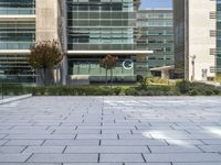 a walkway with tiles and green plants outside of a building near trees and shrubs in front of them