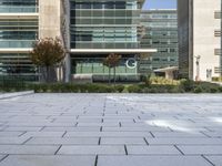 a walkway with tiles and green plants outside of a building near trees and shrubs in front of them